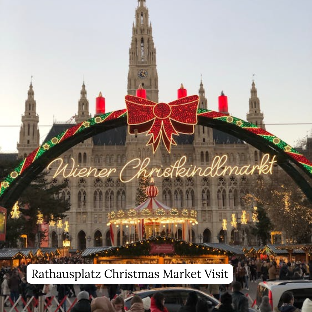 Rathausplatz Christmas Market Visit​
